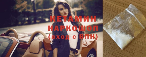 трава Коряжма