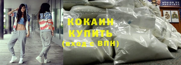 гидра Костерёво