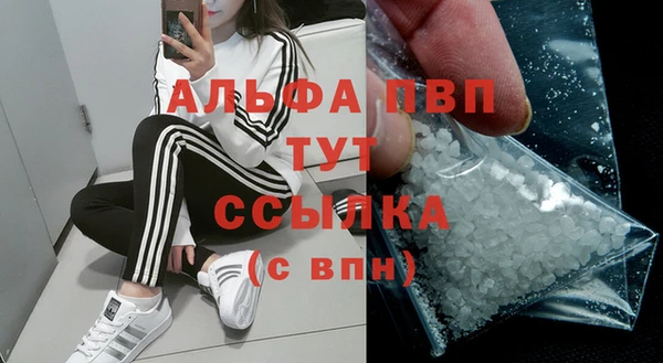 трава Коряжма