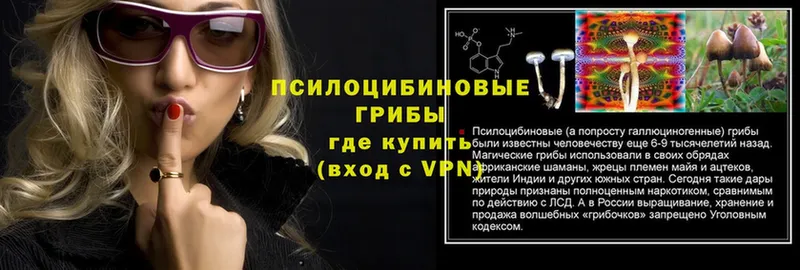 Галлюциногенные грибы Psilocybine cubensis  Нефтеюганск 